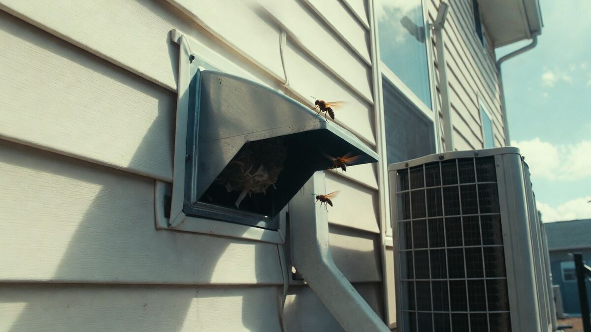 Guêpes dans la VMC ou la climatisation : pourquoi il ne faut surtout pas bricoler